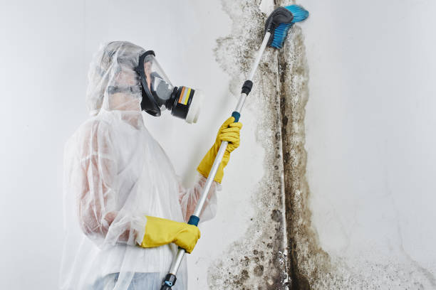 Oconto Falls, WI Mold Remediation Company
