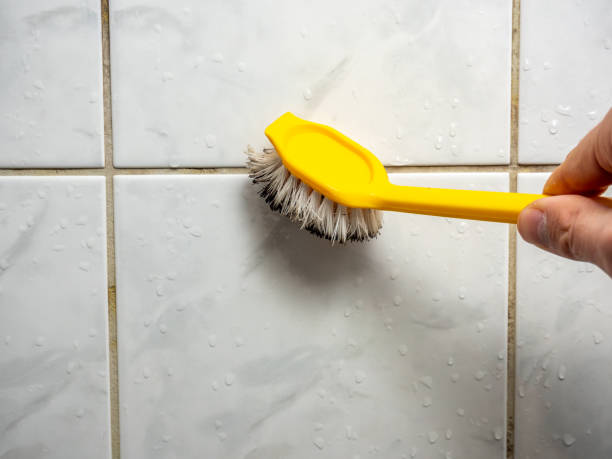 Professional Mold Remediation in Oconto Falls, WI